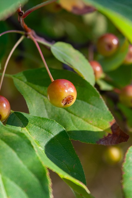 卡里克、鲁尼和弗莱彻，都在曼联青训体系。